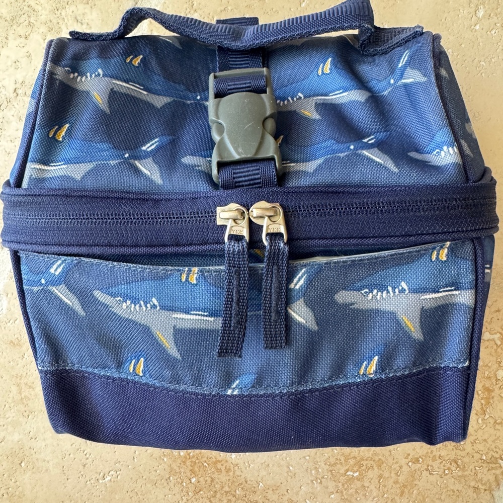 Used Pottery Barn Kids lunch tote